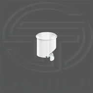 سوسک استاپ بزرگ کفشور دوریکا